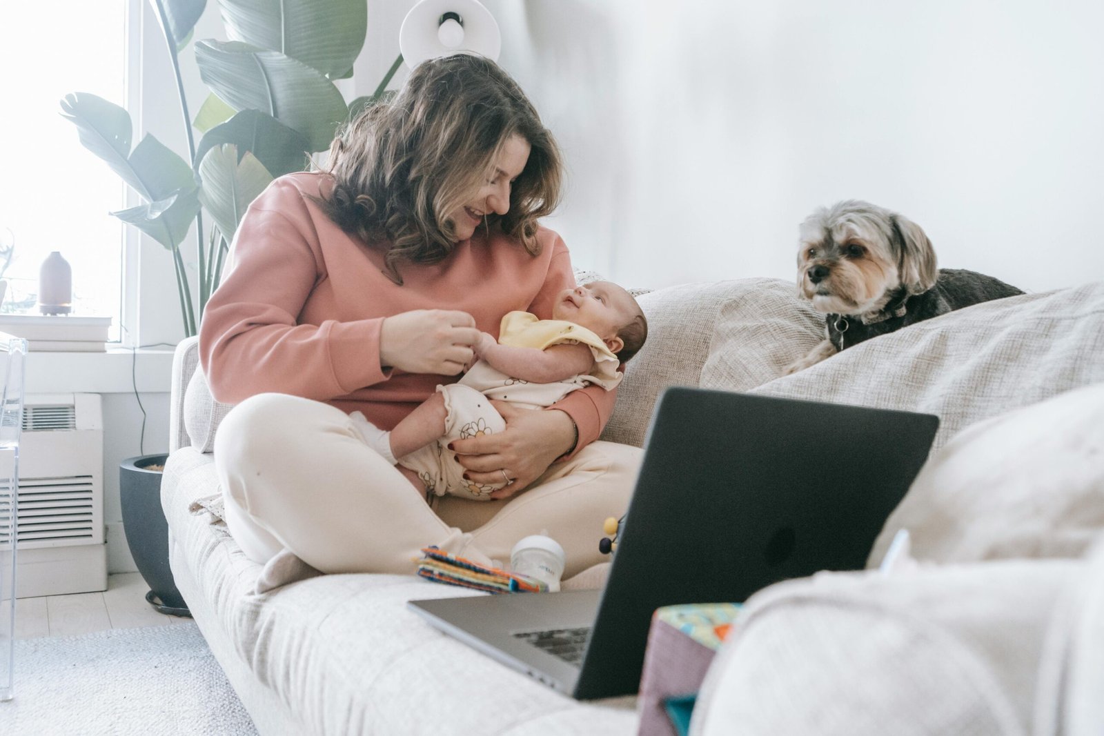 Melhores Raças de Cães para Apartamentos: Guia Completo
